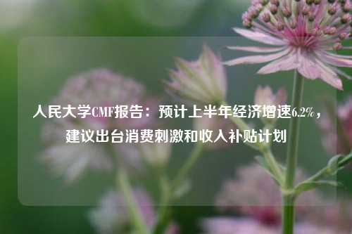 人民大学CMF报告：预计上半年经济增速6.2%，建议出台消费刺激和收入补贴计划 经济 经济风险 cmf 行业新闻 第1张