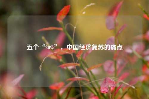 五个“20%”，中国经济复苏的痛点 经济学 宏观经济 经济 行业新闻 第1张