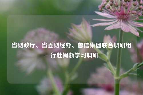省财政厅、省委财经办、鲁信集团联合调研组一行赴闽浙学习调研 金融 行业新闻 第1张