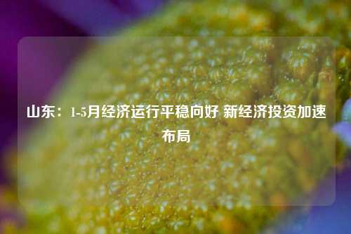 山东：1 5月经济运行平稳向好 新经济投资加速布局 国内宏观 经济 投资 行业新闻 第1张
