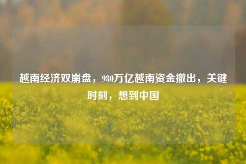 越南经济双崩盘，980万亿越南资金撤出，关键时刻，想到中国 国外宏观 经济 崩盘 行业新闻 第1张