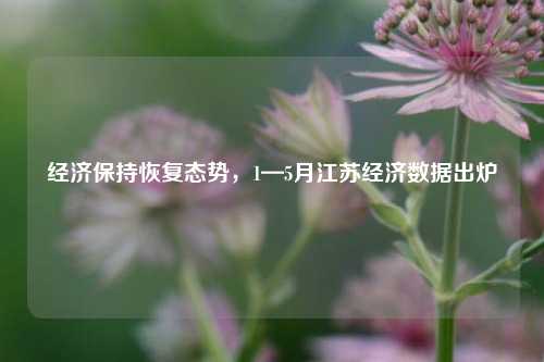 经济保持恢复态势，1—5月江苏经济数据出炉 经济 国内宏观 江苏经济 行业新闻 第1张