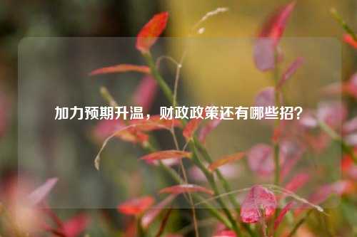 加力预期升温，财政政策还有哪些招？ 金融工具 宏观经济 国内宏观 行业新闻 第1张