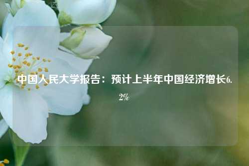 中国人民大学报告：预计上半年中国经济增长6.2% 宏观经济 经济增长 经济 行业新闻 第1张