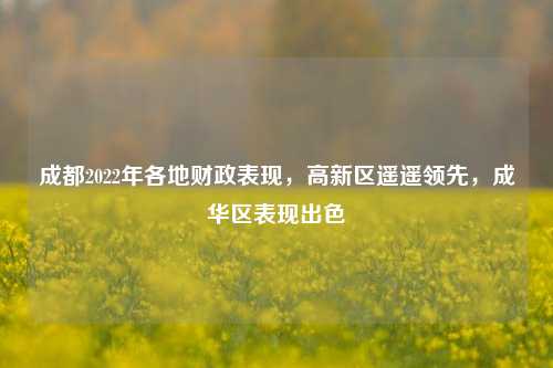 成都2022年各地财政表现，高新区遥遥领先，成华区表现出色 宏观经济 国内宏观 成都发展 行业新闻 第1张