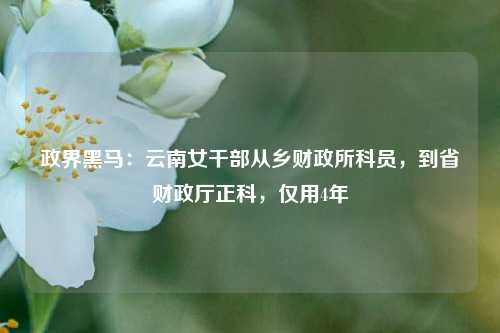 政界黑马：云南女干部从乡财政所科员，到省财政厅正科，仅用4年 科员 行业新闻 第1张