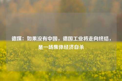 德媒：如果没有中国，德国工业将走向终结，是一场集体经济自杀 行业新闻 第1张
