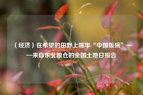 （经济）在希望的田野上端牢“中国饭碗”——来自东北粮仓的全国土地日报告 三农 高标准农田 农业 行业新闻 第1张