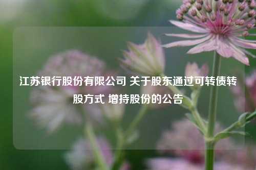 江苏银行股份有限公司 关于股东通过可转债转股方式 增持股份的公告 股票 江苏银行 股东 行业新闻 第1张