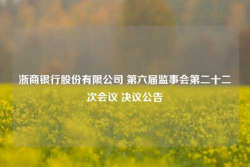 浙商银行股份有限公司 第六届监事会第二十二次会议 决议公告 股票 董事会会议 浙商银行 行业新闻 第1张