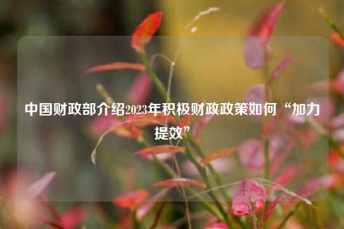 中国财政部介绍2023年积极财政政策如何“加力提效” 宏观经济 积极财政政策 国内宏观 行业新闻 第1张