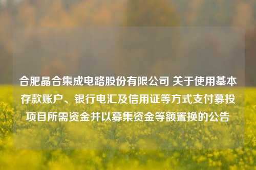 合肥晶合集成电路股份有限公司 关于使用基本存款账户、银行电汇及信用证等方式支付募投项目所需资金并以募集资金等额置换的公告 上市公司公告 基本存款账户 募投项目 行业新闻 第1张
