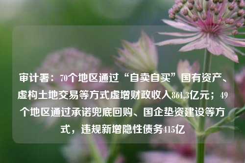 审计署：70个地区通过“自卖自买”国有资产、虚构土地交易等方式虚增财政收入861.3亿元；49个地区通过承诺兜底回购、国企垫资建设等方式，违规新增隐性债务415亿 宏观经济 国内宏观 行业新闻 第1张