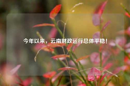 今年以来，云南财政运行总体平稳！ 宏观经济 国内宏观 行业新闻 第1张
