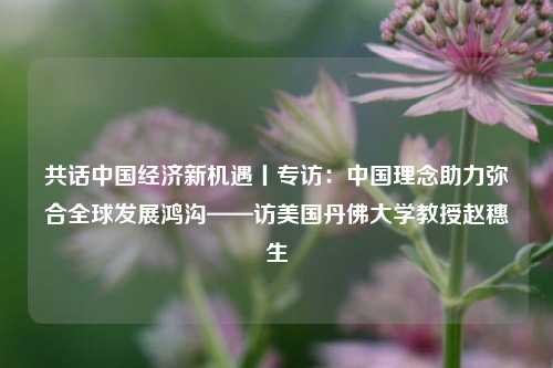 共话中国经济新机遇丨专访：中国理念助力弥合全球发展鸿沟——访美国丹佛大学教授赵穗生 经济 行业新闻 第1张