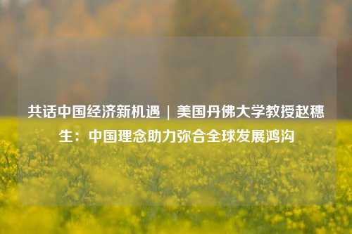 共话中国经济新机遇 | 美国丹佛大学教授赵穗生：中国理念助力弥合全球发展鸿沟 经济 行业新闻 第1张