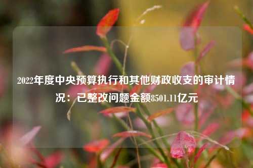 2022年度中央预算执行和其他财政收支的审计情况：已整改问题金额8501.11亿元 整改报告 审计质量 国内宏观 行业新闻 第1张