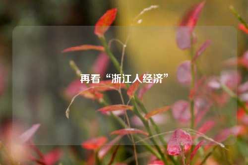 再看“浙江人经济” 经济学 企业经济 浙江经济 行业新闻 第1张