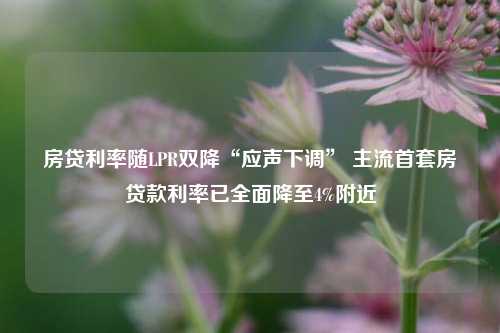 房贷利率随LPR双降“应声下调” 主流首套房贷款利率已全面降至4%附近 首套房 银行 银行贷款利率 行业新闻 第1张