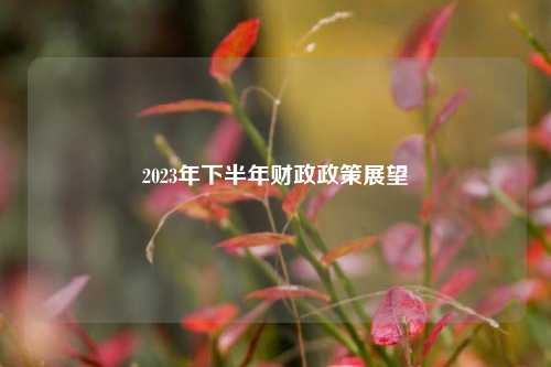 2023年下半年财政政策展望 政府债务 地方债 预算执行 行业新闻 第1张