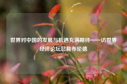 世界对中国的发展与机遇充满期待——访世界经济论坛总裁布伦德 经济 世界经济论坛 世界经济 行业新闻 第1张