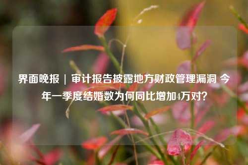 界面晚报 | 审计报告披露地方财政管理漏洞 今年一季度结婚数为何同比增加4万对？ 审计报告 行业新闻 第1张