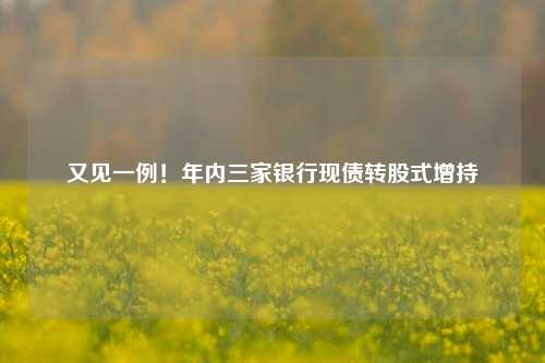 又见一例！年内三家银行现债转股式增持 光大国际 江苏银行 债转股 行业新闻 第1张