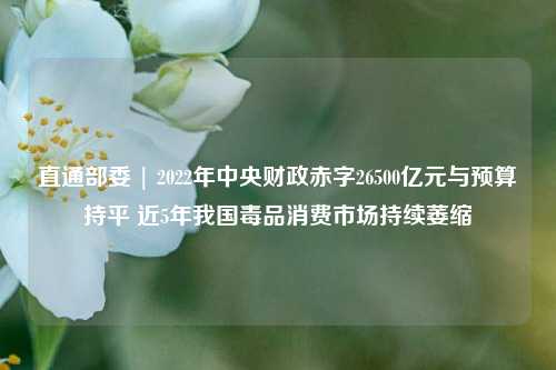 直通部委 | 2022年中央财政赤字26500亿元与预算持平 近5年我国毒品消费市场持续萎缩 时政 麻醉药品 法律 行业新闻 第1张