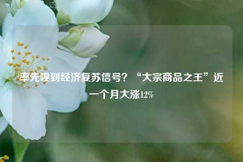 率先嗅到经济复苏信号？“大宗商品之王”近一个月大涨12% 期货 大宗商品 经济 行业新闻 第1张