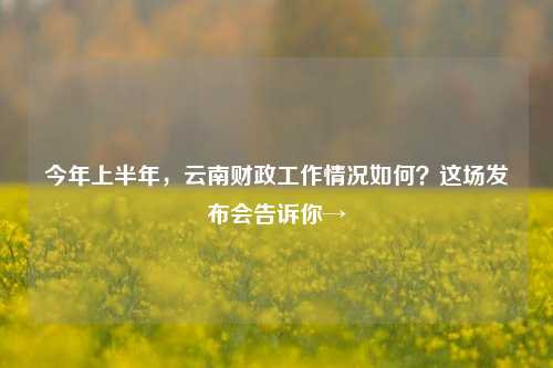 今年上半年，云南财政工作情况如何？这场发布会告诉你→ 国内宏观 资金预算 预算执行 行业新闻 第1张