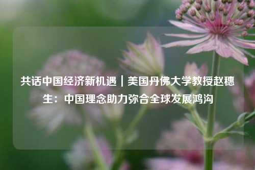 共话中国经济新机遇｜美国丹佛大学教授赵穗生：中国理念助力弥合全球发展鸿沟 经济 行业新闻 第1张