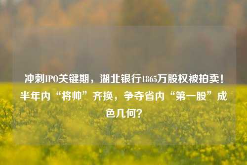 冲刺IPO关键期，湖北银行1865万股权被拍卖！半年内“将帅”齐换，争夺省内“第一股”成色几何？ 股权 湖北银行 银行 行业新闻 第1张