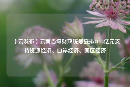 【云发布】云南省级财政统筹安排710.4亿元支持资源经济、口岸经济、园区经济 云南发展 国内宏观 经济 行业新闻 第1张