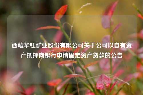 西藏华钰矿业股份有限公司关于公司以自有资产抵押向银行申请固定资产贷款的公告 银行 银行资产 固定资产贷款 行业新闻 第1张