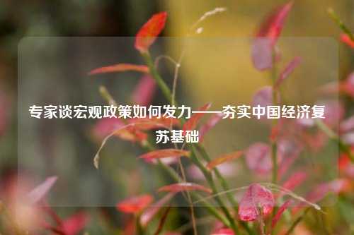 专家谈宏观政策如何发力——夯实中国经济复苏基础 经济 宏观经济政策 宏观政策 行业新闻 第1张