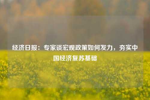 经济日报：专家谈宏观政策如何发力，夯实中国经济复苏基础 经济 宏观经济政策 宏观政策 行业新闻 第1张