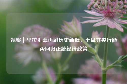 观察｜里拉汇率再刷历史新低，土耳其央行能否回归正统经济政策 美元加息 土耳其总统 美国加息 行业新闻 第1张