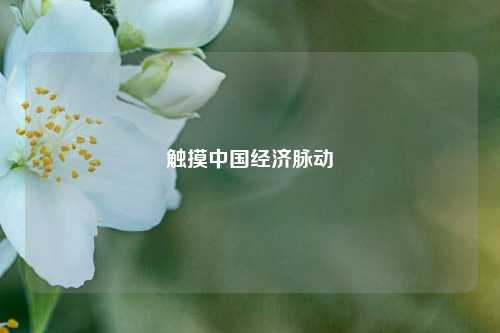 触摸中国经济脉动 经济 夏季达沃斯 达沃斯 行业新闻 第1张