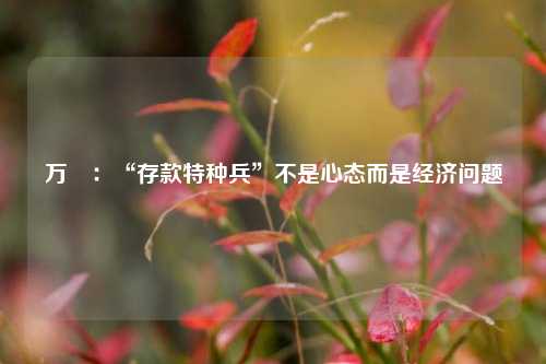 万喆：“存款特种兵”不是心态而是经济问题 国内宏观 存款利率 银行 行业新闻 第1张