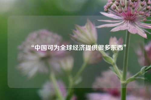 “中国可为全球经济提供很多东西” 经济 世界经济 行业新闻 第1张
