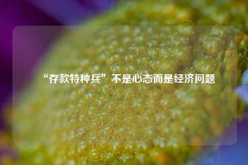 “存款特种兵”不是心态而是经济问题 国内宏观 存款利率 银行 行业新闻 第1张