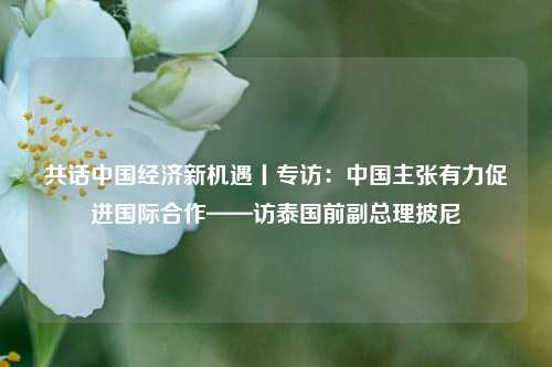 共话中国经济新机遇丨专访：中国主张有力促进国际合作——访泰国前副总理披尼 时政外交 行业新闻 第1张