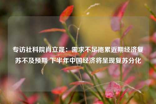 专访社科院肖立晟：需求不足拖累近期经济复苏不及预期 下半年中国经济将呈现复苏分化 经济学 库存周期 经济 行业新闻 第1张