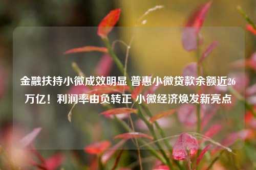 金融扶持小微成效明显 普惠小微贷款余额近26万亿！利润率由负转正 小微经济焕发新亮点 小微金融 普惠 贷款余额 行业新闻 第1张