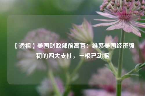 【透视】美国财政部前高官：维系美国经济强韧的四大支柱，三根已动摇 经济学 宏观经济 经济 行业新闻 第1张