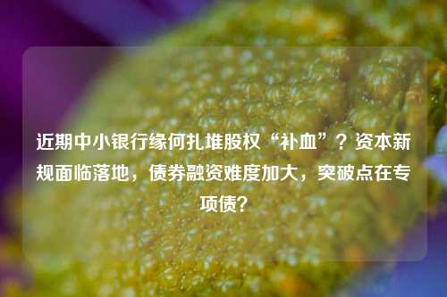近期中小银行缘何扎堆股权“补血”？资本新规面临落地，债券融资难度加大，突破点在专项债？ 银行融资 债券融资 银行 行业新闻 第1张