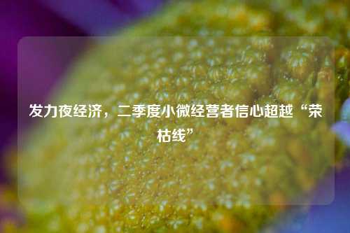 发力夜经济，二季度小微经营者信心超越“荣枯线” 经济 小微金融 荣枯线 行业新闻 第1张
