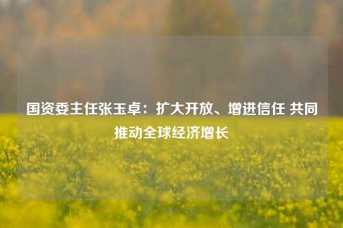国资委主任张玉卓：扩大开放、增进信任 共同推动全球经济增长 经济增长 经济 世界经济 行业新闻 第1张
