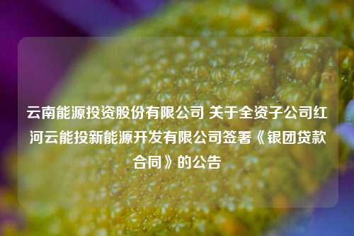 云南能源投资股份有限公司 关于全资子公司红河云能投新能源开发有限公司签署《银团贷款合同》的公告 能源 银团贷款 投资 行业新闻 第1张