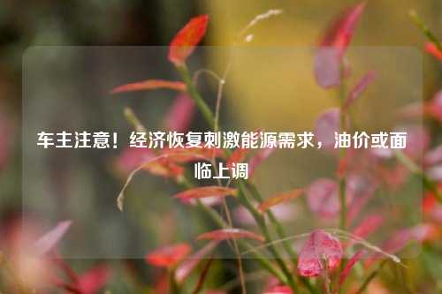 车主注意！经济恢复刺激能源需求，油价或面临上调 投资 能源 油价 行业新闻 第1张
